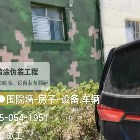 怀化数码迷彩漆施工